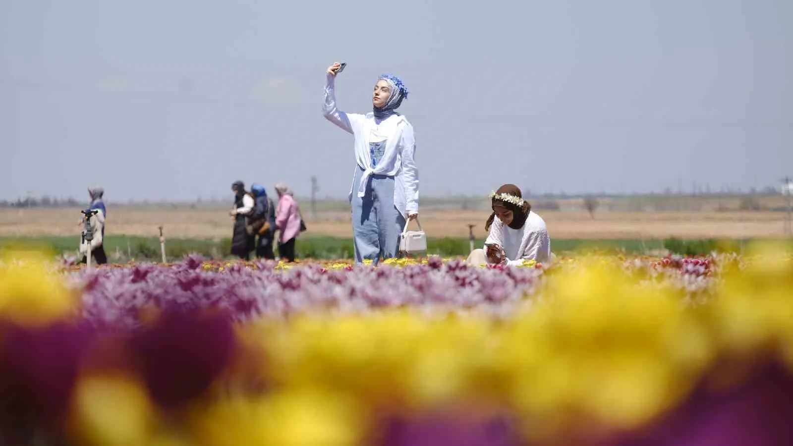 Karaman’da Lale Tarlası Ziyarete Açıldı: İlk 2 Günde 30 Bin Ziyaretçi
