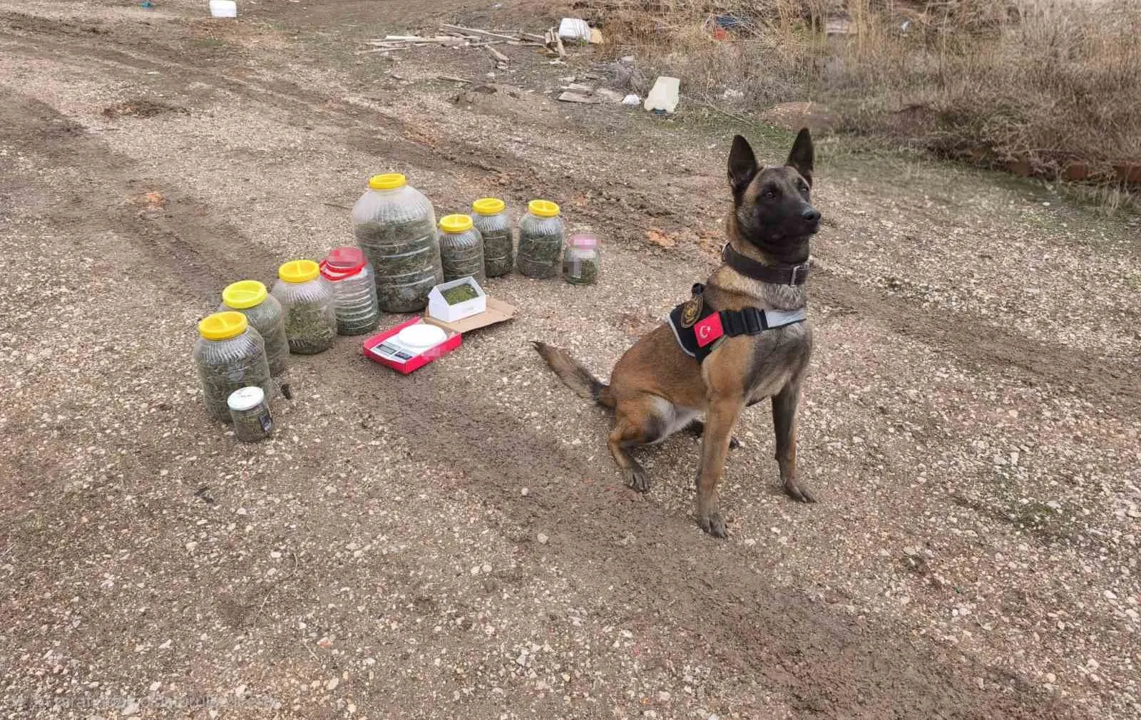 Karaman’da Narkotik Operasyonu: Esrar ve Kenevir Tohumu Ele Geçirildi