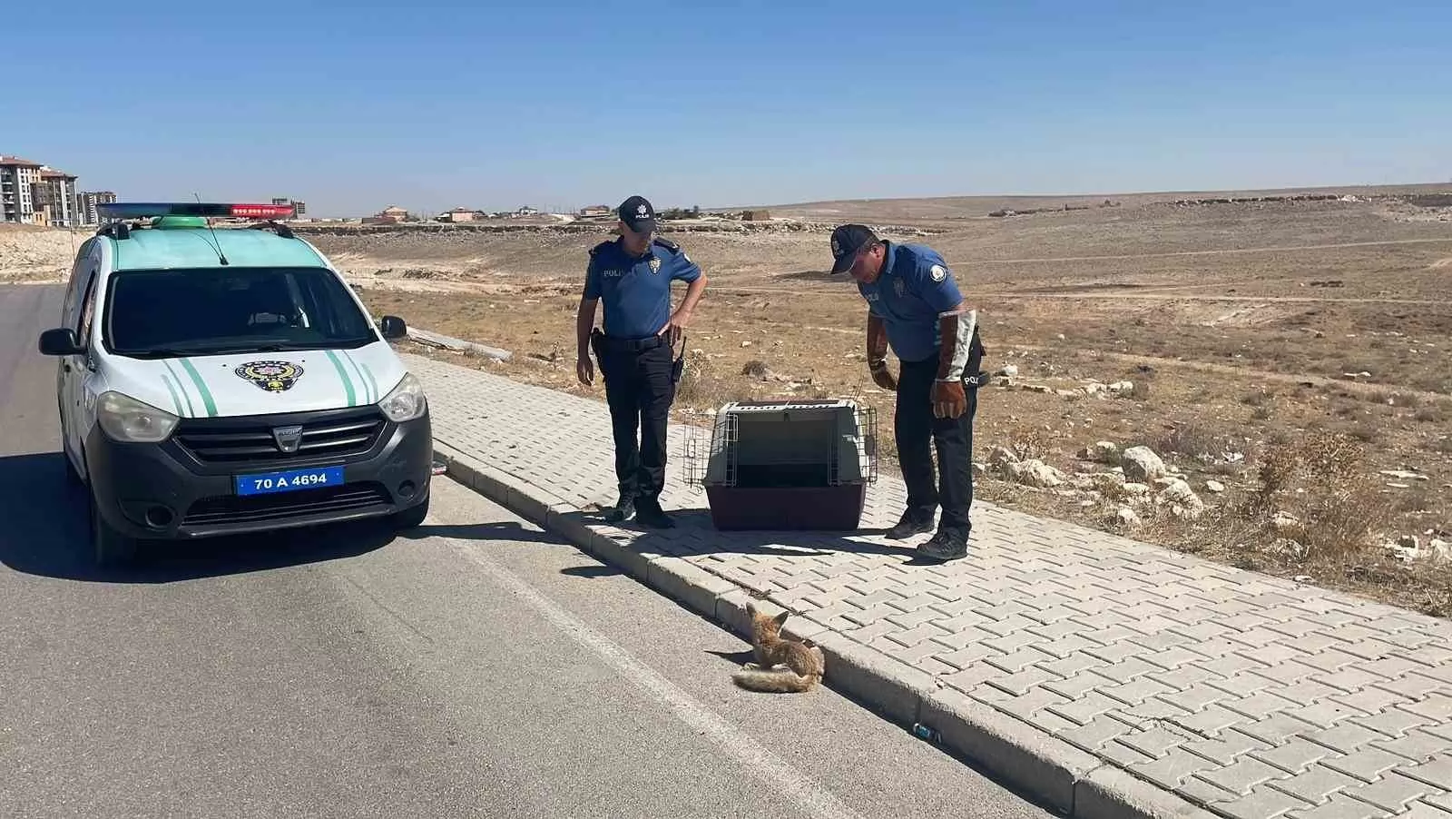 Karaman’da Yaralı Tilki Koruma Altına Alındı