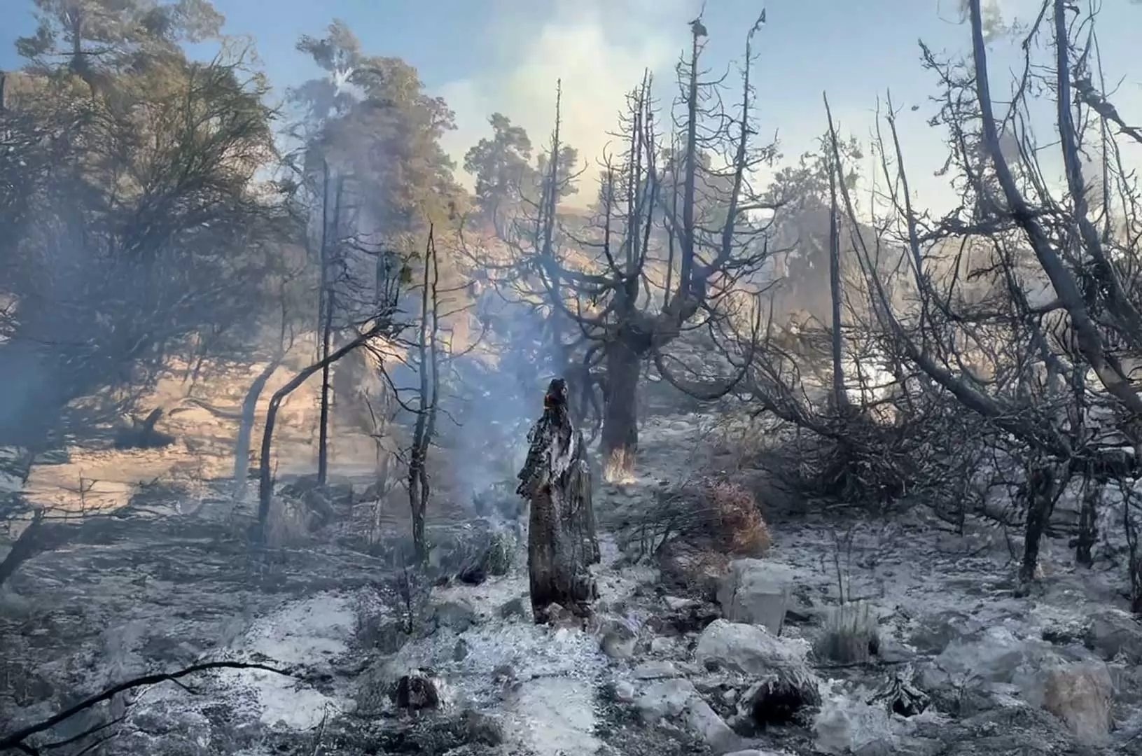 Karaman’ın Ayrancı İlçesinde Dağlık Alandaki Yangın Ağaçlık Bölgeye Sıçradı