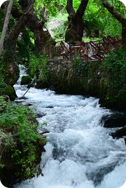 <span>Turizm</span>Ermenek<br> Zeyve